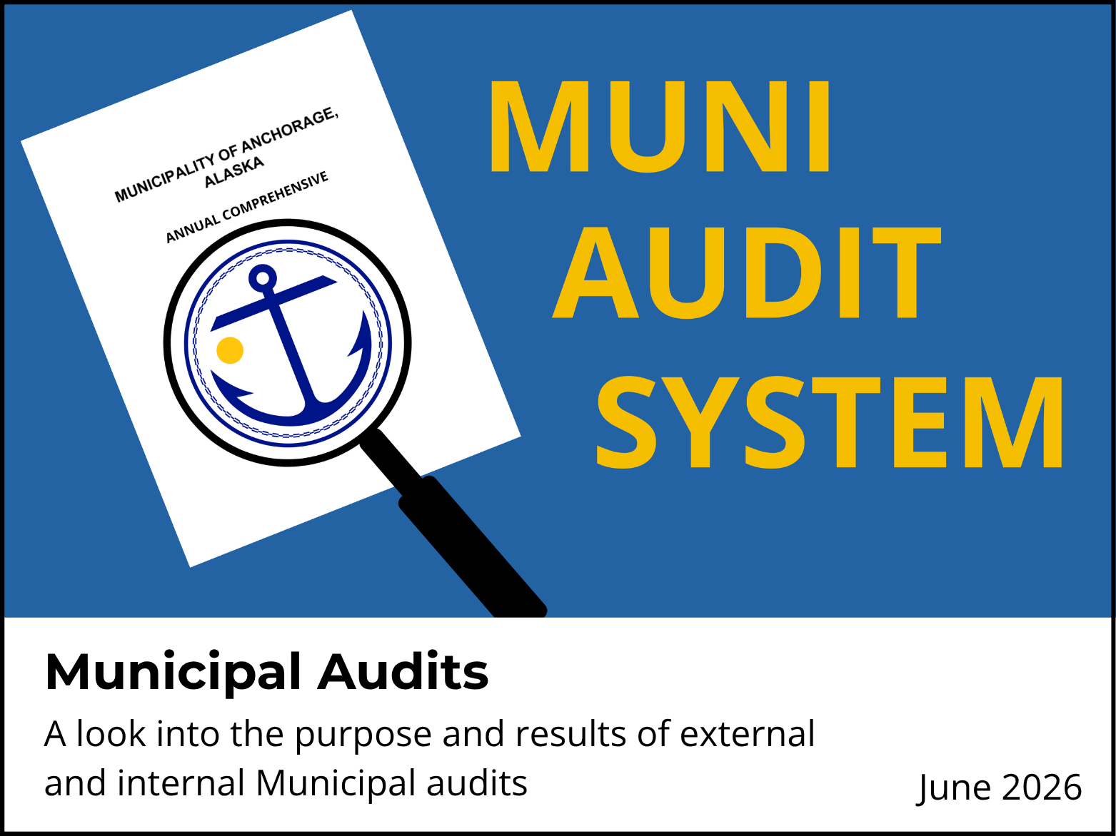 Municipal Audit System