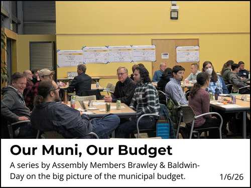 Our Muni, Our Budget