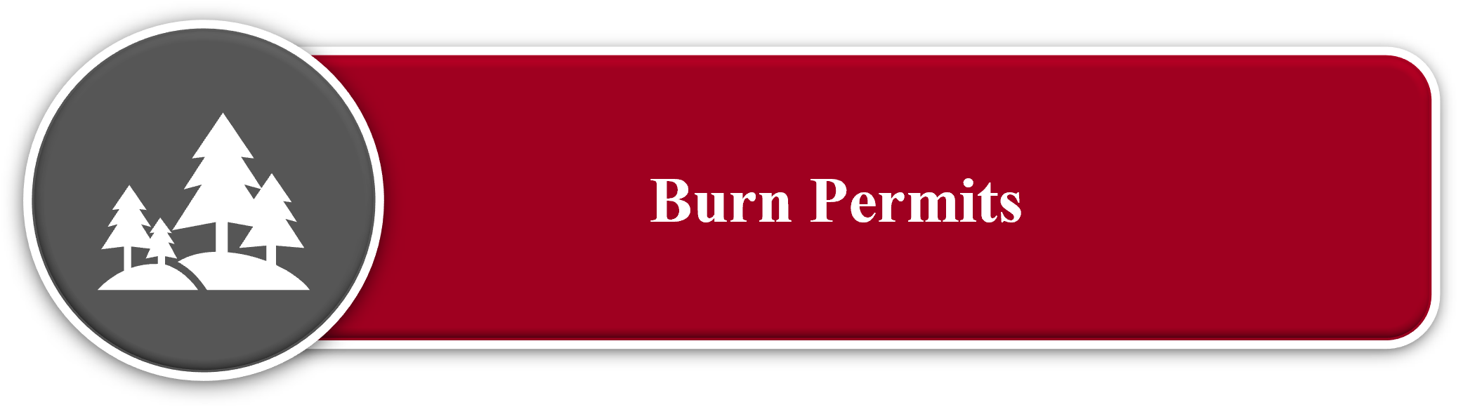 Button Linking to Burn Permit Information