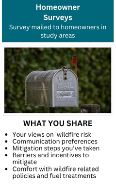 Surveys.png