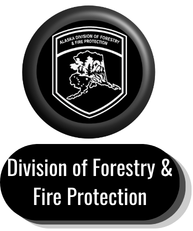 DFFP Button.png