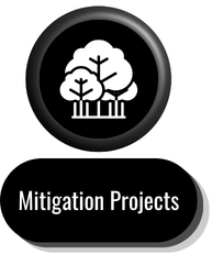 Mitigation Projects Button.png