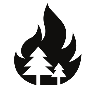 WildFire.png