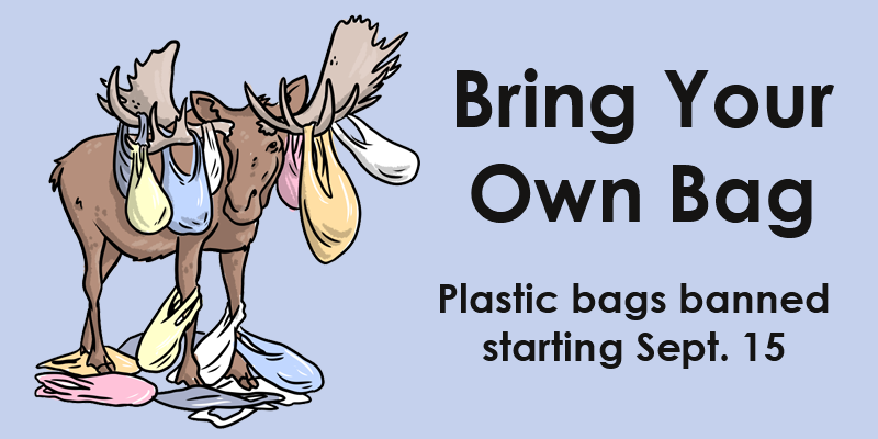 Details more than 152 ban on plastic bags poster - xkldase.edu.vn