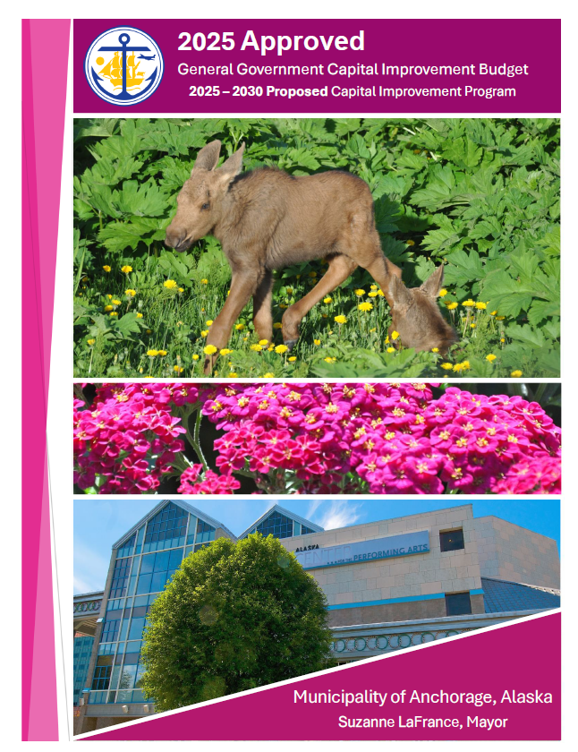 Capital Apvd Cover.PNG