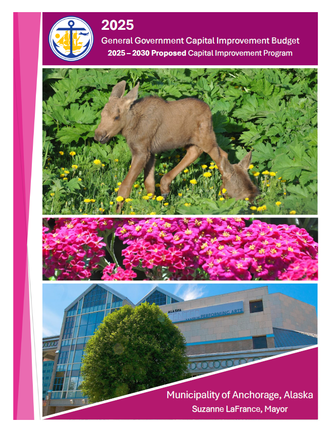 Capital Cover Web.PNG