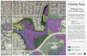 Wetlands and Natural Resources (PDF)