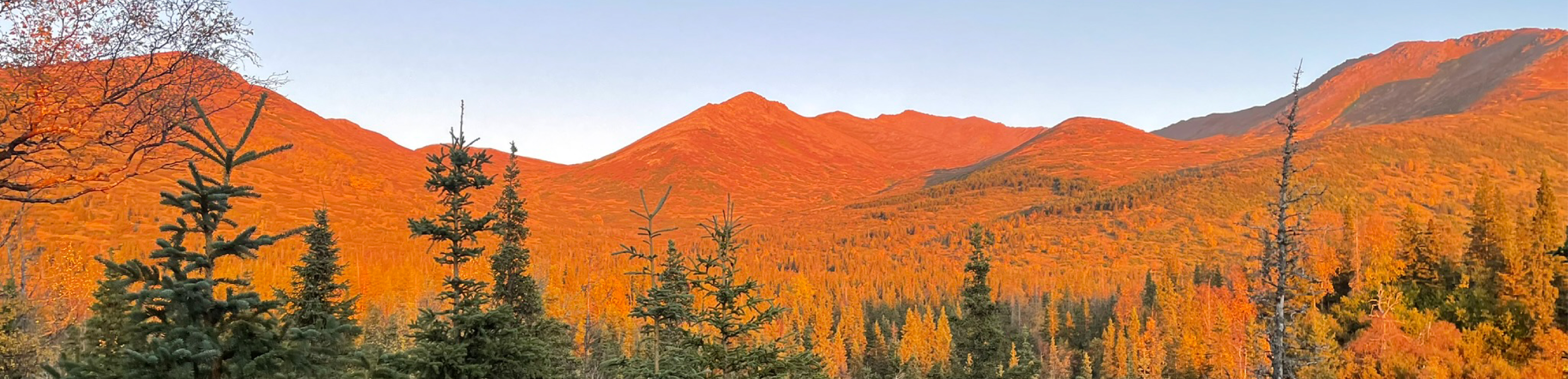 View from the Basher Trailhead