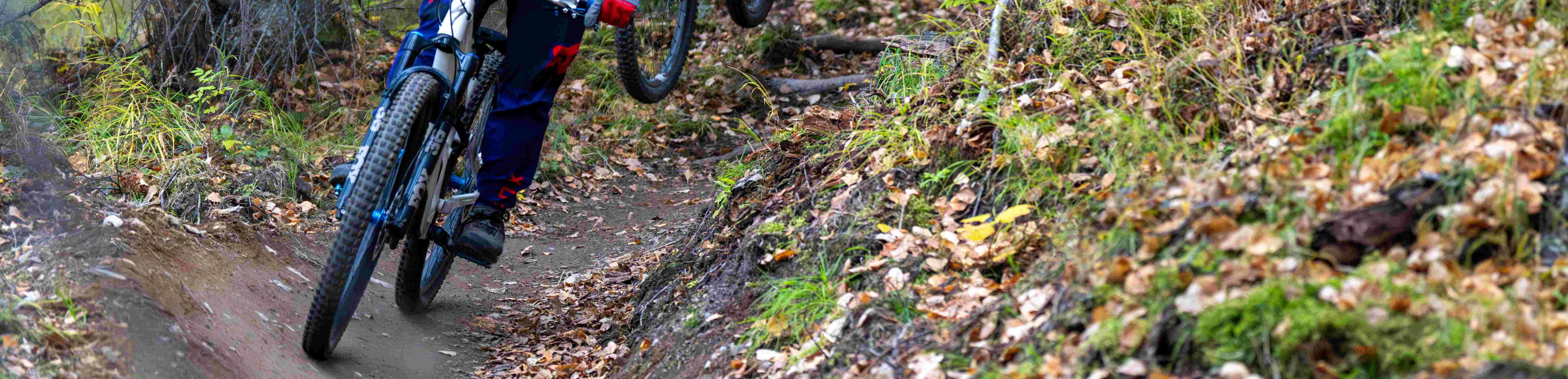 Biking on a singletrack trail