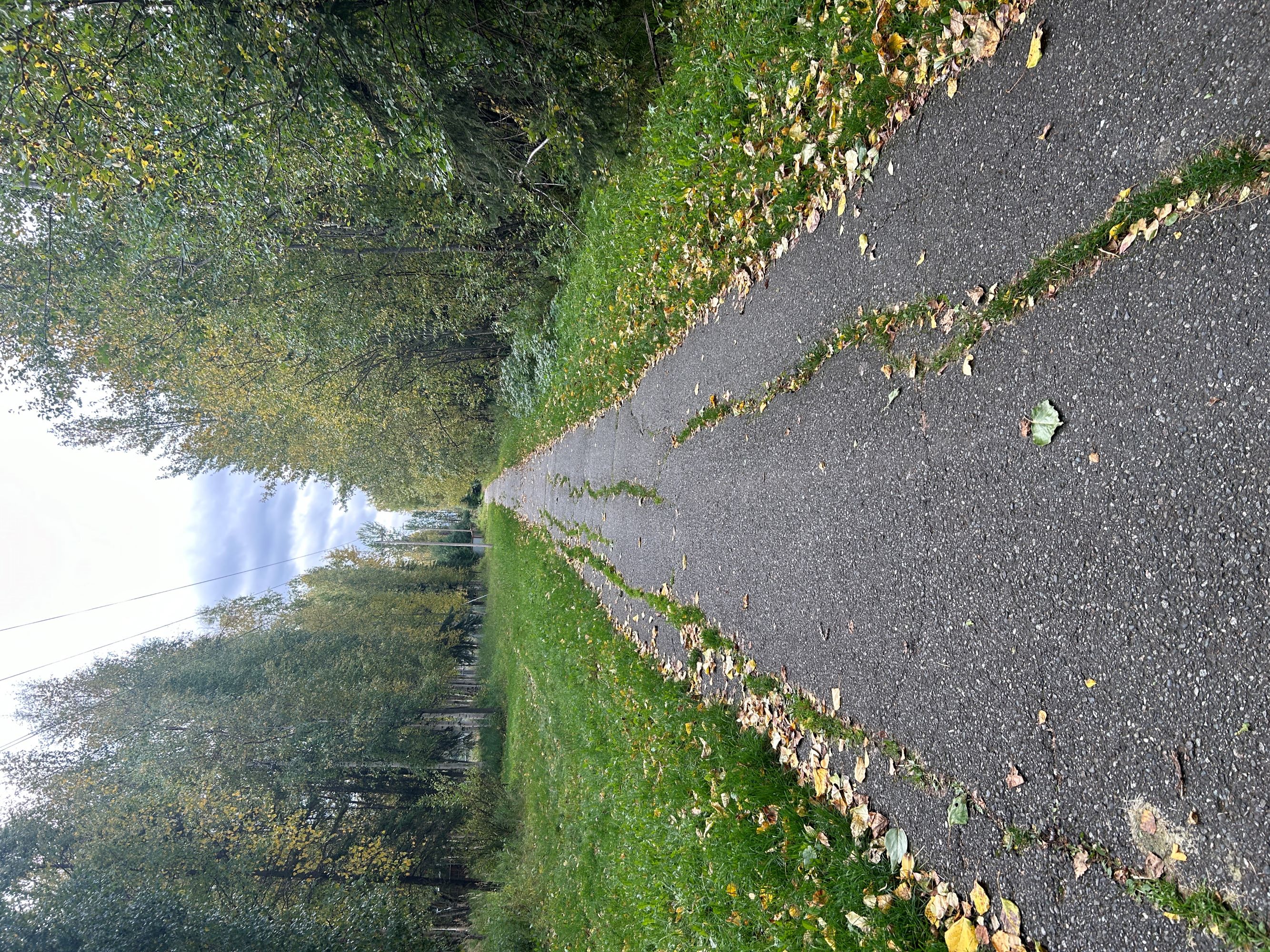 Photo shows existing multi-use trail conditions