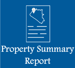 Property Summary Report
